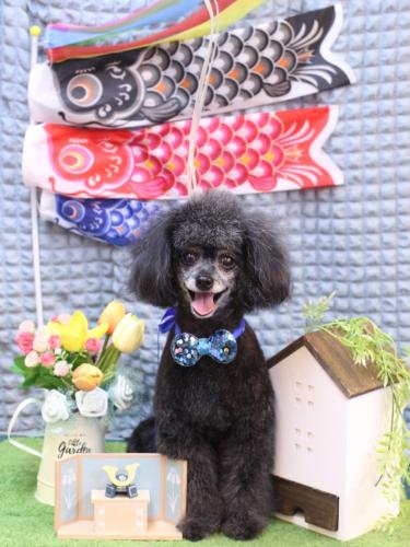 20230523ラムくん